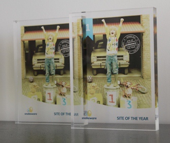 snakeware site of the year